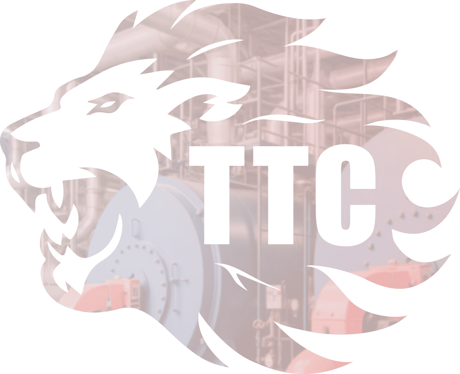Lion_TTC